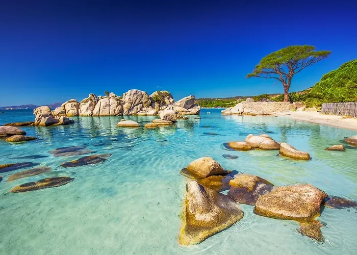 Standing Domaine D Arca Apartment Porto-Vecchio (Corsica)